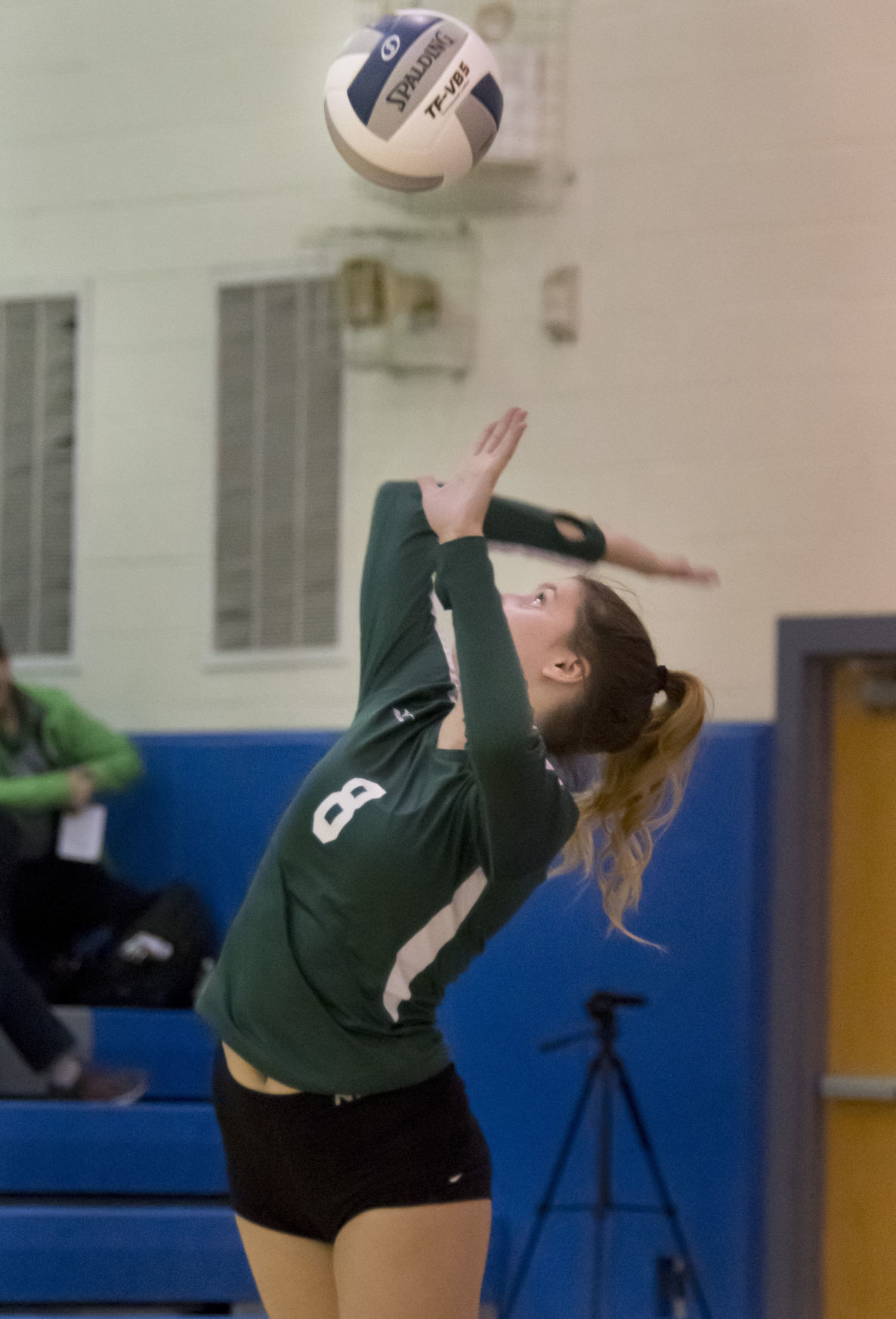 Volleyball sectionals